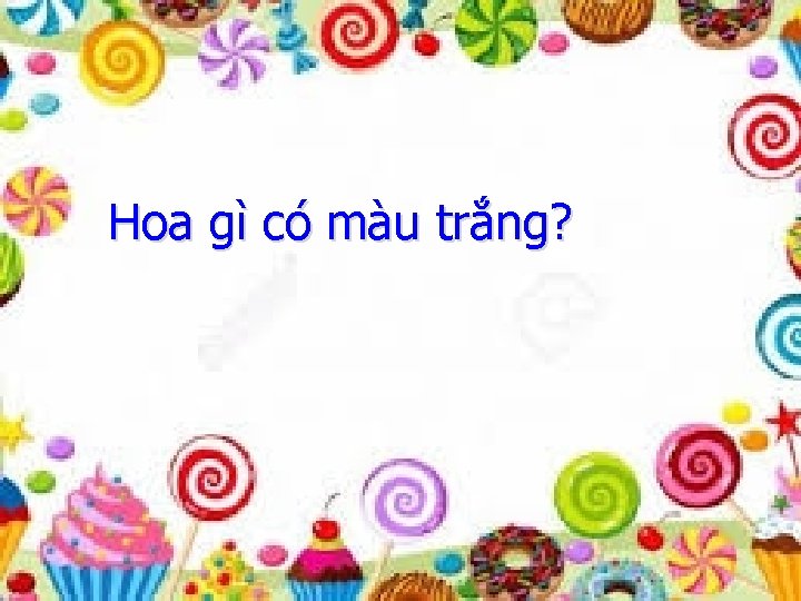 Hoa gì có màu trắng? 