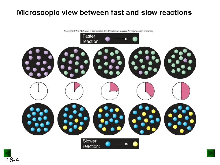 Microscopic view between fast and slow reactions 16 -4 