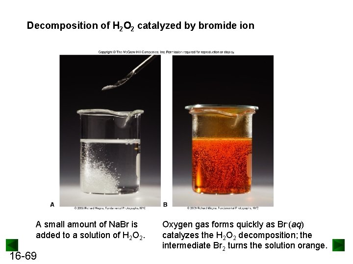 Decomposition of H 2 O 2 catalyzed by bromide ion A small amount of