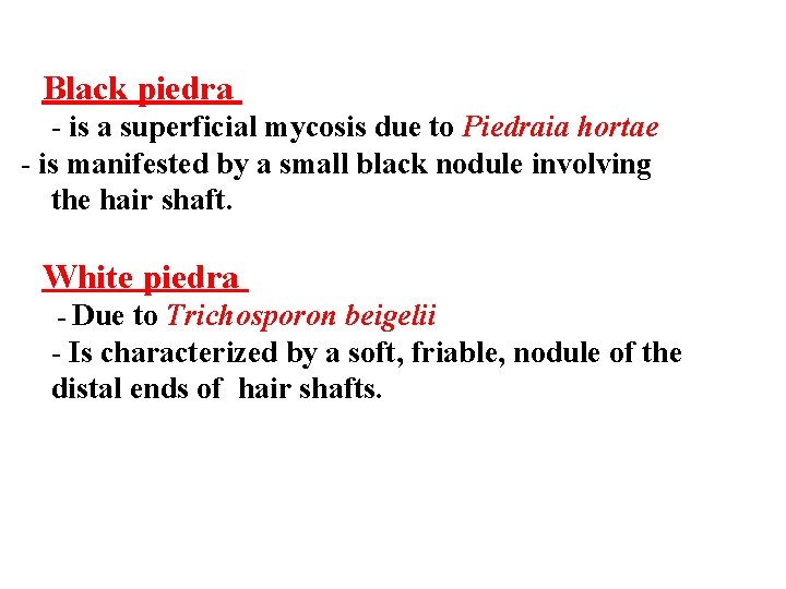 Black piedra - is a superficial mycosis due to Piedraia hortae - is manifested