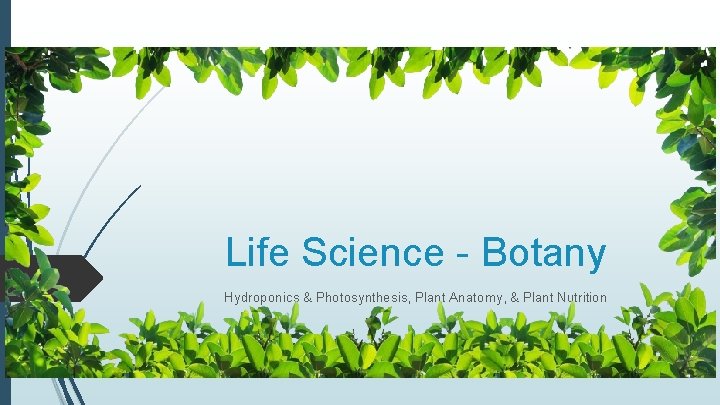 Life Science - Botany Hydroponics & Photosynthesis, Plant Anatomy, & Plant Nutrition 