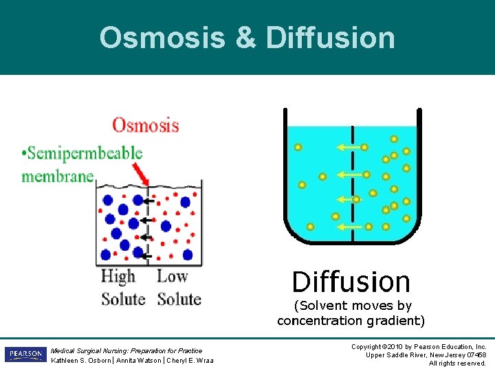 Osmosis & Diffusion Medical Surgical Nursing: Preparation for Practice Kathleen S. Osborn | Annita Osmosis & Diffusion Medical Surgical Nursing: Preparation for Practice Kathleen S. Osborn | Annita