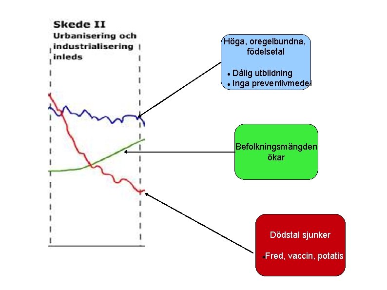 Höga, oregelbundna, födelsetal Dålig utbildning Inga preventivmedel Befolkningsmängden ökar Dödstal sjunker Fred, vaccin, potatis Höga, oregelbundna, födelsetal Dålig utbildning Inga preventivmedel Befolkningsmängden ökar Dödstal sjunker Fred, vaccin, potatis