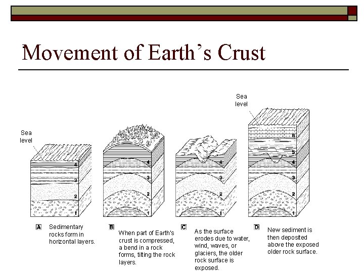 . Movement of Earth’s Crust Sea level Sedimentary rocks form in horizontal layers. When