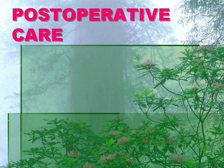 POSTOPERATIVE CARE 