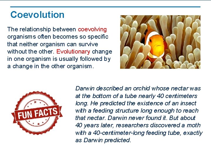 Coevolution The relationship between coevolving organisms often becomes so specific that neither organism can
