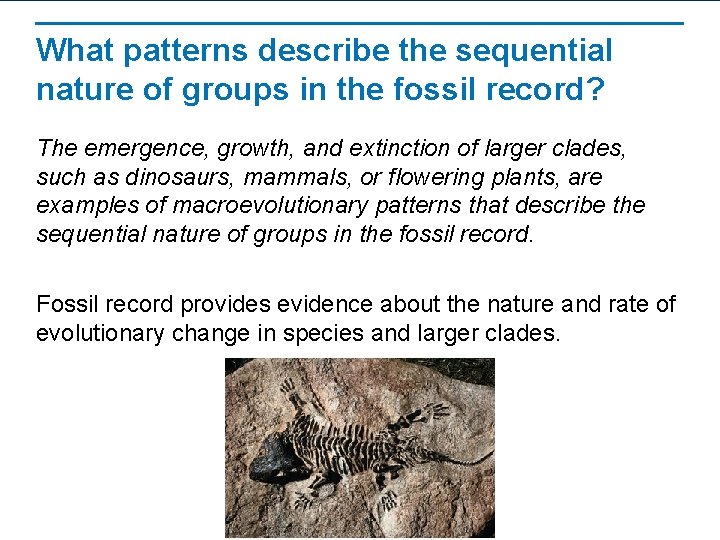What patterns describe the sequential nature of groups in the fossil record? The emergence,
