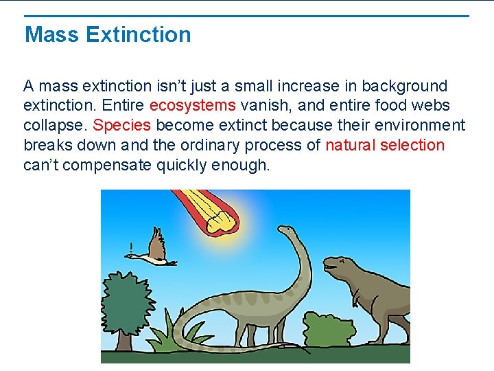 Mass Extinction A mass extinction isn’t just a small increase in background extinction. Entire