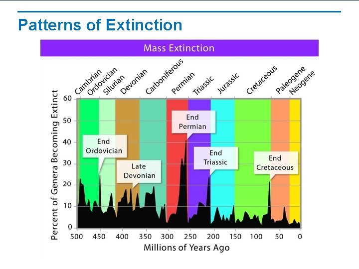 Patterns of Extinction 