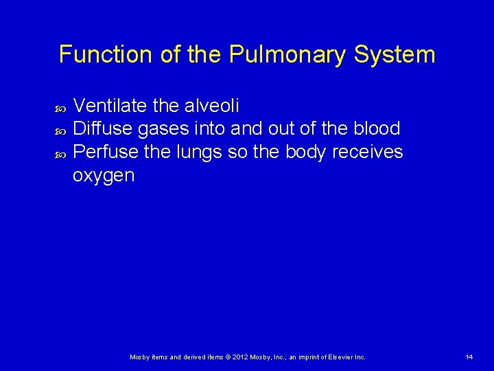 Function of the Pulmonary System Ventilate the alveoli Diffuse gases into and out of