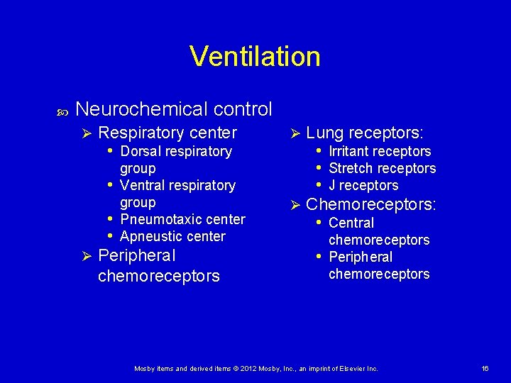 Ventilation Neurochemical control Ø Respiratory center • Dorsal respiratory group • Ventral respiratory group