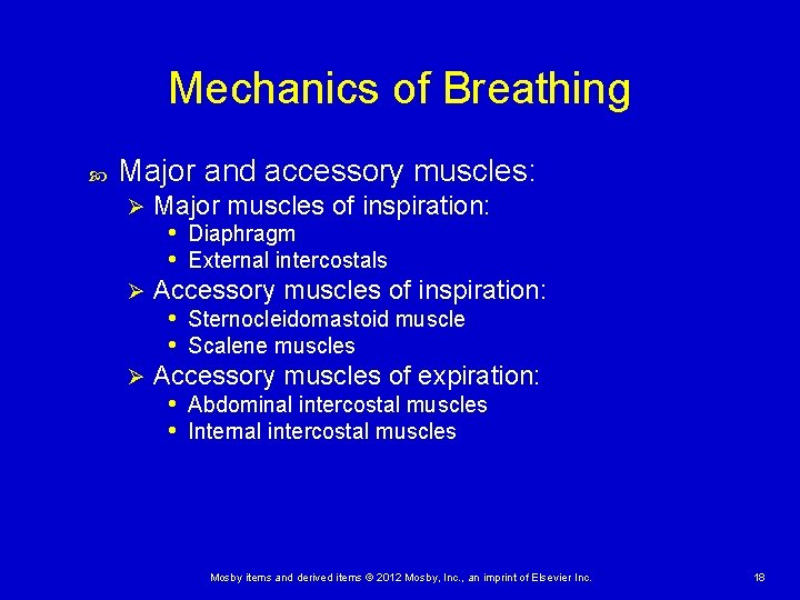 Mechanics of Breathing Major and accessory muscles: Major muscles of inspiration: • Diaphragm •