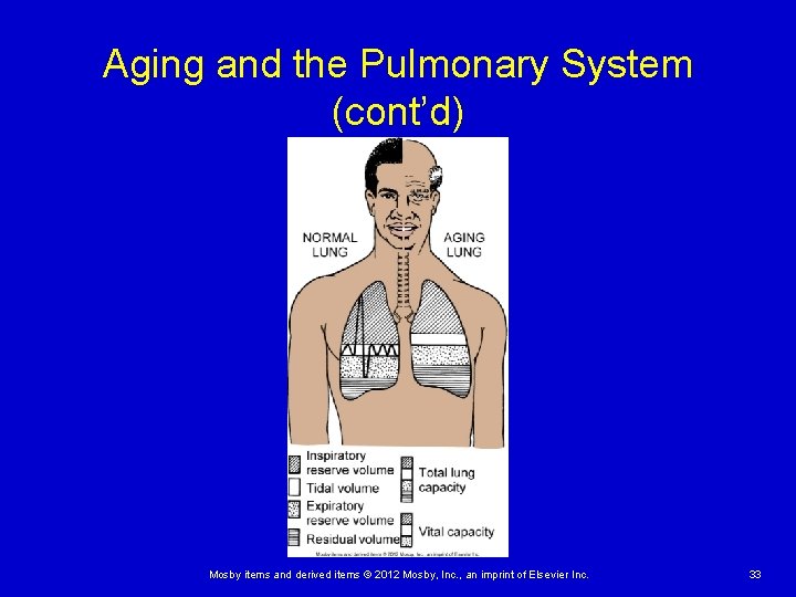 Aging and the Pulmonary System (cont’d) Mosby items and derived items © 2012 Mosby,