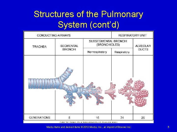 Structures of the Pulmonary System (cont’d) Mosby items and derived items © 2012 Mosby,