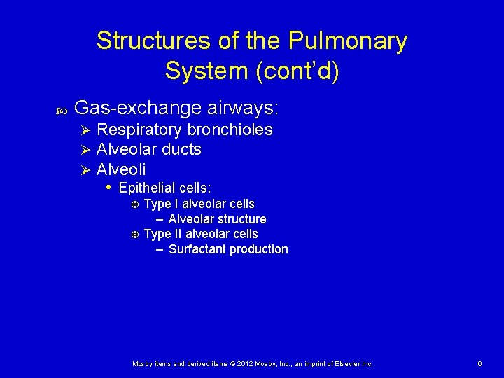 Structures of the Pulmonary System (cont’d) Gas-exchange airways: Ø Ø Ø Respiratory bronchioles Alveolar