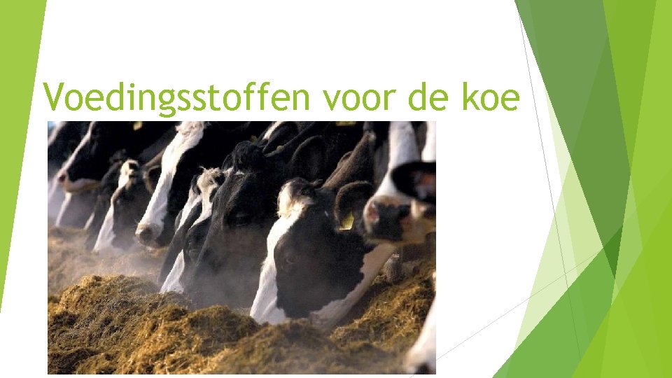 Voedingsstoffen voor de koe 