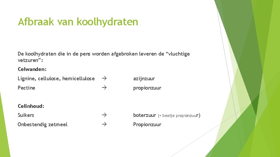 Afbraak van koolhydraten De koolhydraten die in de pens worden afgebroken leveren de “vluchtige