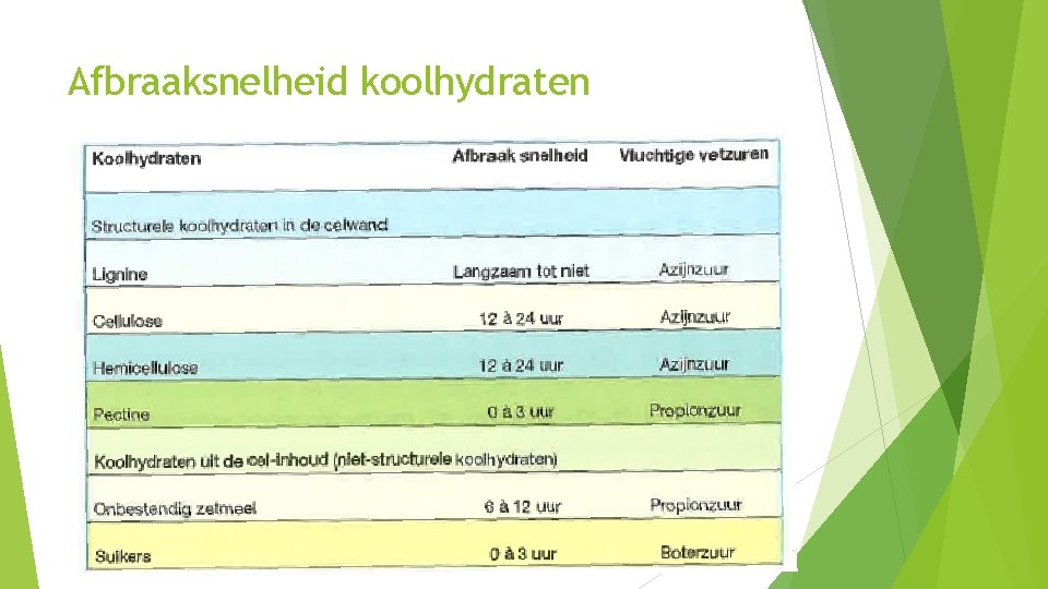 Afbraaksnelheid koolhydraten 