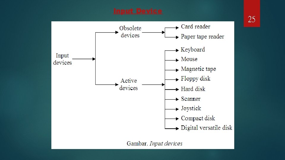 Input Device 25 