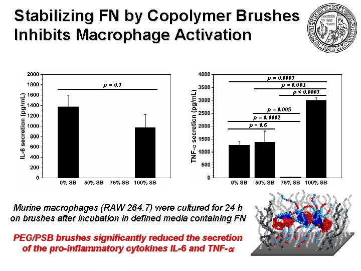 Stabilizing FN by Copolymer Brushes Inhibits Macrophage Activation p = 0. 1 p =