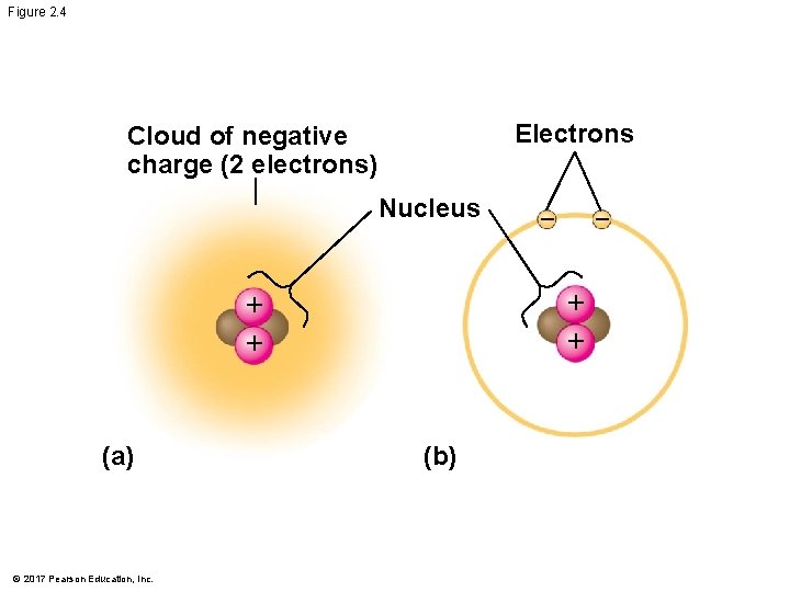 Figure 2. 4 Electrons Cloud of negative charge (2 electrons) Nucleus © 2017 Pearson Figure 2. 4 Electrons Cloud of negative charge (2 electrons) Nucleus © 2017 Pearson