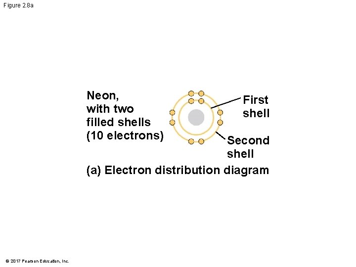 Figure 2. 8 a Neon, with two filled shells (10 electrons) First shell Second Figure 2. 8 a Neon, with two filled shells (10 electrons) First shell Second