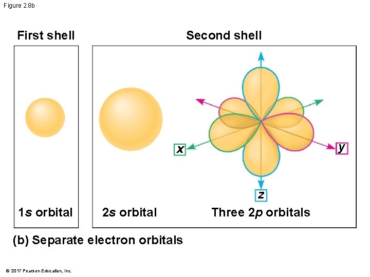 Figure 2. 8 b First shell Second shell y x 1 s orbital 2 Figure 2. 8 b First shell Second shell y x 1 s orbital 2