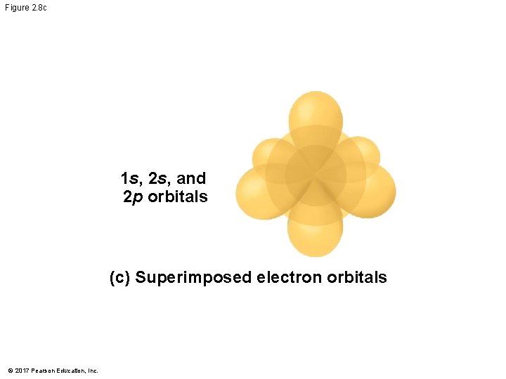 Figure 2. 8 c 1 s, 2 s, and 2 p orbitals (c) Superimposed Figure 2. 8 c 1 s, 2 s, and 2 p orbitals (c) Superimposed