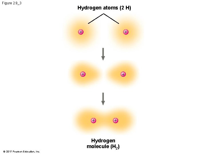 Figure 2. 9_3 Hydrogen atoms (2 H) + + + © 2017 Pearson Education, Figure 2. 9_3 Hydrogen atoms (2 H) + + + © 2017 Pearson Education,