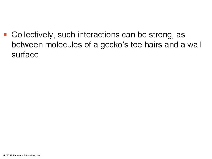 § Collectively, such interactions can be strong, as between molecules of a gecko’s toe § Collectively, such interactions can be strong, as between molecules of a gecko’s toe