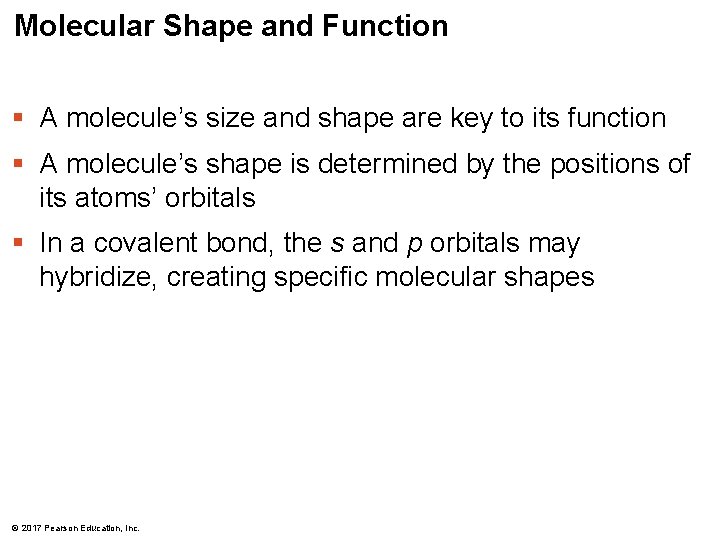 Molecular Shape and Function § A molecule’s size and shape are key to its Molecular Shape and Function § A molecule’s size and shape are key to its