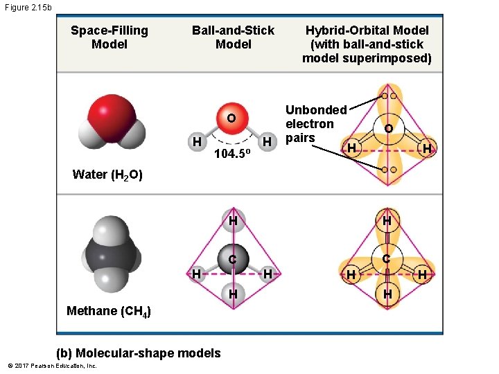 Figure 2. 15 b Space-Filling Model Ball-and-Stick Model O H 104. 5º H Hybrid-Orbital Figure 2. 15 b Space-Filling Model Ball-and-Stick Model O H 104. 5º H Hybrid-Orbital