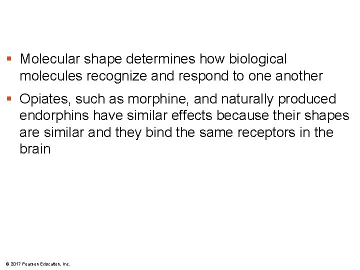 § Molecular shape determines how biological molecules recognize and respond to one another § § Molecular shape determines how biological molecules recognize and respond to one another §