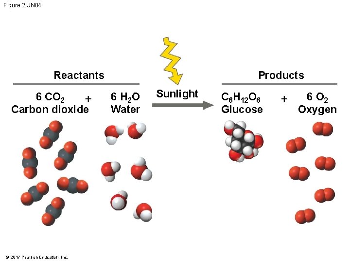 Figure 2. UN 04 Reactants 6 CO 2 Carbon dioxide © 2017 Pearson Education, Figure 2. UN 04 Reactants 6 CO 2 Carbon dioxide © 2017 Pearson Education,