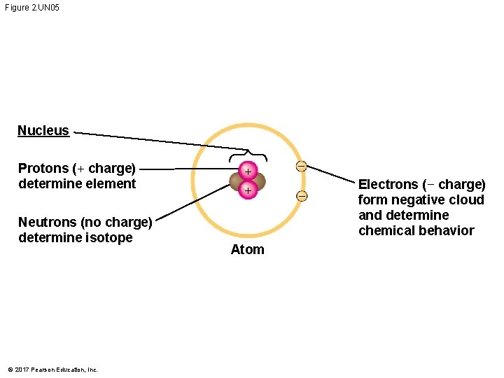 Figure 2. UN 05 Nucleus Protons (+ charge) determine element Neutrons (no charge) determine Figure 2. UN 05 Nucleus Protons (+ charge) determine element Neutrons (no charge) determine