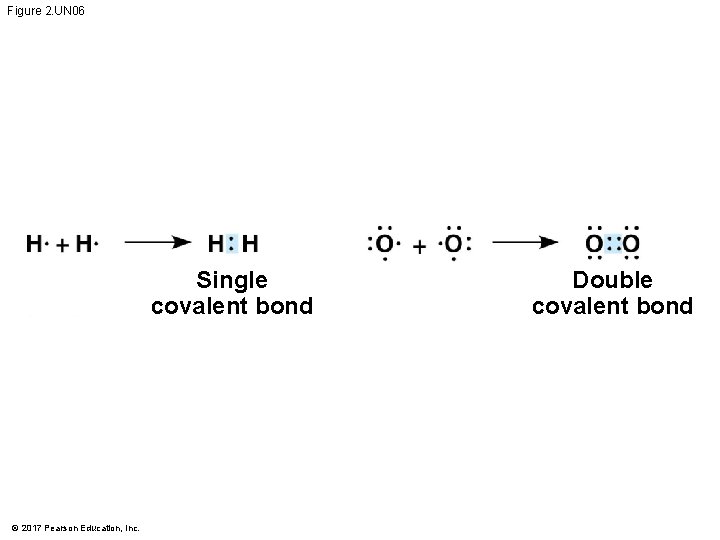 Figure 2. UN 06 Single covalent bond © 2017 Pearson Education, Inc. Double covalent Figure 2. UN 06 Single covalent bond © 2017 Pearson Education, Inc. Double covalent