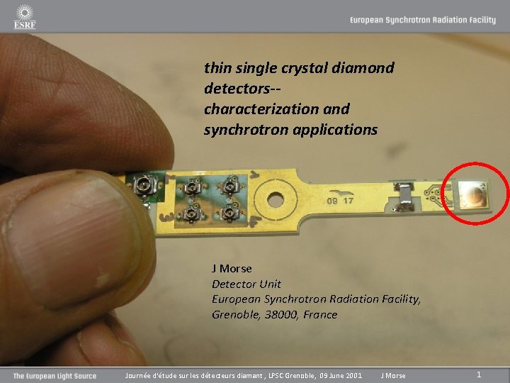 thin single crystal diamond detectors-characterization and synchrotron applications J Morse Detector Unit European Synchrotron