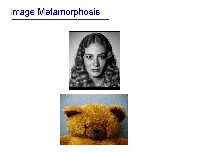 Image Metamorphosis 