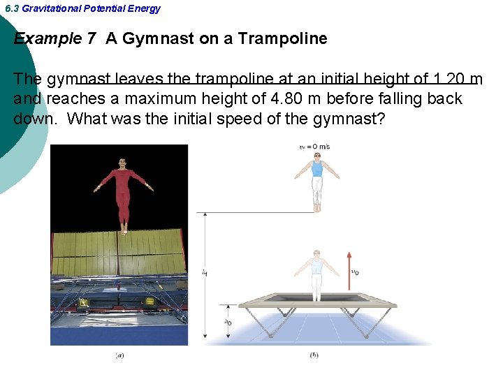 6. 3 Gravitational Potential Energy Example 7 A Gymnast on a Trampoline The gymnast