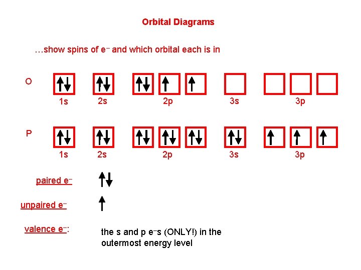 Orbital Diagrams …show spins of e– and which orbital each is in O 1