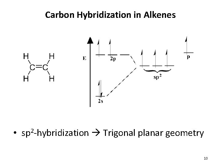 Carbon Hybridization in Alkenes • sp 2 -hybridization Trigonal planar geometry 10 Carbon Hybridization in Alkenes • sp 2 -hybridization Trigonal planar geometry 10