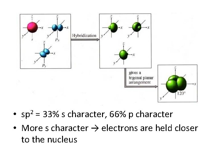 • sp 2 = 33% s character, 66% p character • More s • sp 2 = 33% s character, 66% p character • More s