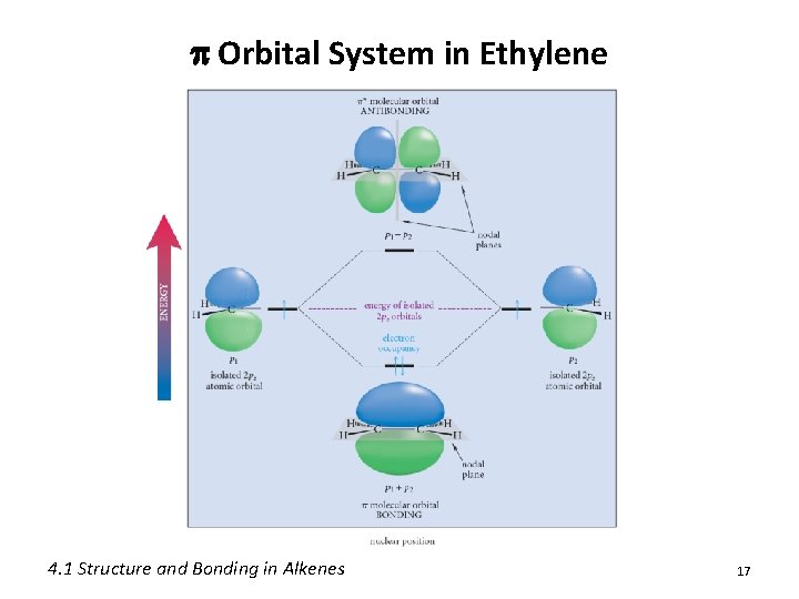p Orbital System in Ethylene 4. 1 Structure and Bonding in Alkenes 17 p Orbital System in Ethylene 4. 1 Structure and Bonding in Alkenes 17