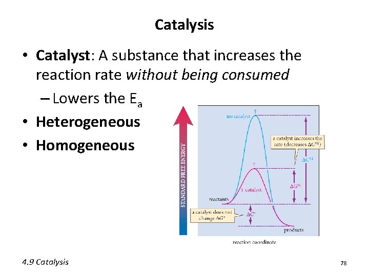 Catalysis • Catalyst: A substance that increases the reaction rate without being consumed – Catalysis • Catalyst: A substance that increases the reaction rate without being consumed –