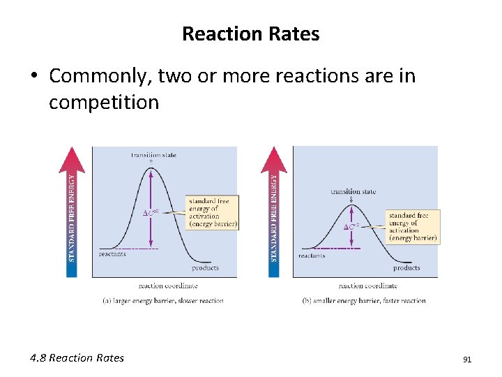 Reaction Rates • Commonly, two or more reactions are in competition 4. 8 Reaction Reaction Rates • Commonly, two or more reactions are in competition 4. 8 Reaction