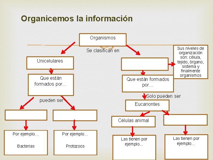 Organicemos la información Organismos Se clasifican en Unicelulares Que están formados por… Sus niveles Organicemos la información Organismos Se clasifican en Unicelulares Que están formados por… Sus niveles
