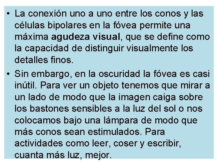  • La conexión uno a uno entre los conos y las células bipolares