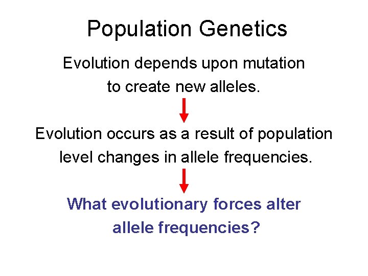 Population Genetics Evolution depends upon mutation to create new alleles. Evolution occurs as a