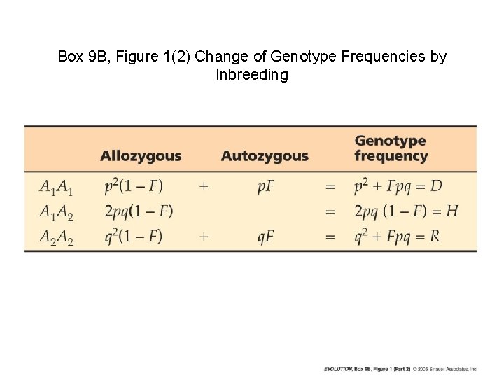 Box 9 B, Figure 1(2) Change of Genotype Frequencies by Inbreeding 