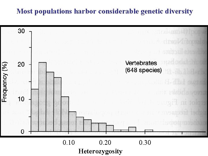 Most populations harbor considerable genetic diversity 0. 10 0. 20 Heterozygosity 0. 30 